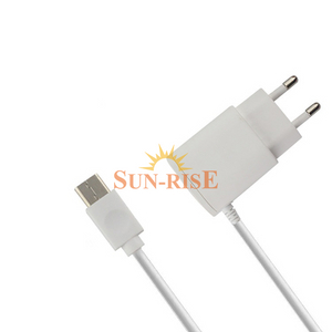 2.4A Wall Charger with Cord 